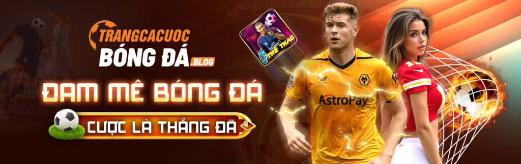 banner trang cá cược bóng đá