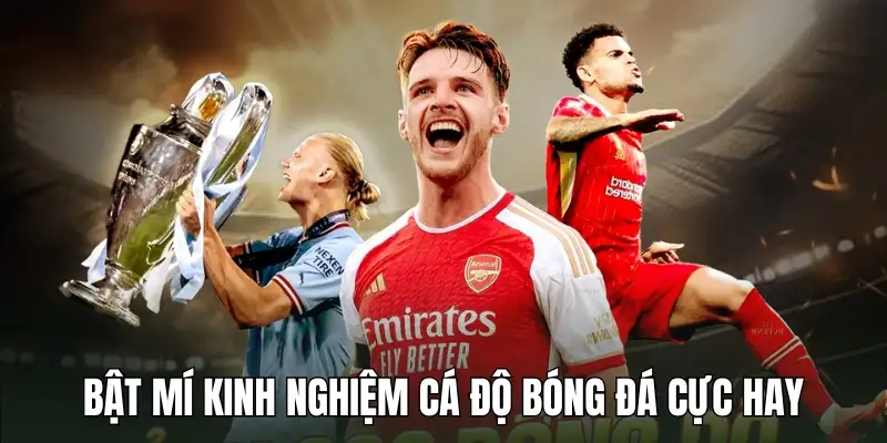 Bật Mí Kinh Nghiệm Cá Độ Bóng Đá Cực Hay Từ Cao Thủ