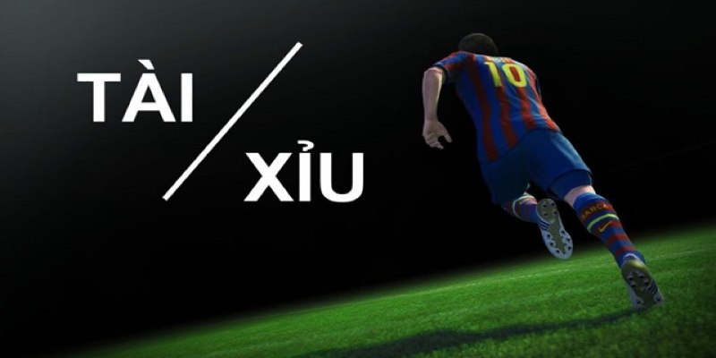 Khái niệm cơ bản về loại và phương pháp soi kèo
