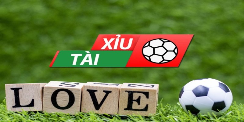 Hướng Dẫn Soi Kèo Tài Xỉu Toàn Tập Cho Người Chơi Cá Độ
